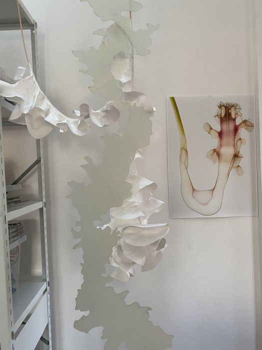 Whites, processes, all somehow connected